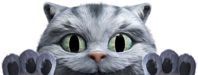 Gato_Asomado